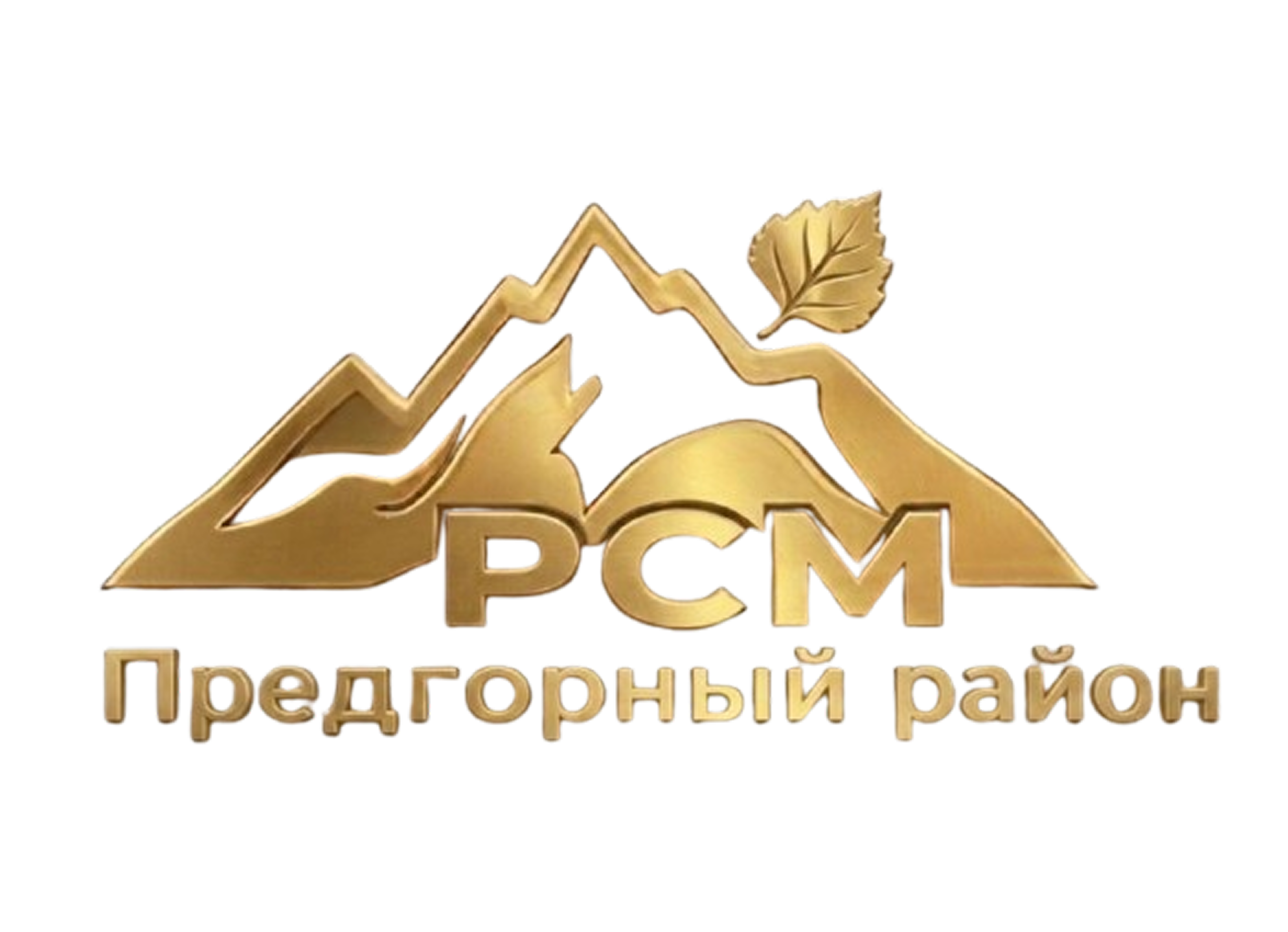 Логотип РСМ